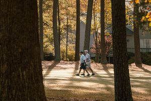 Image post by @wildwoodgreengc on Instagram