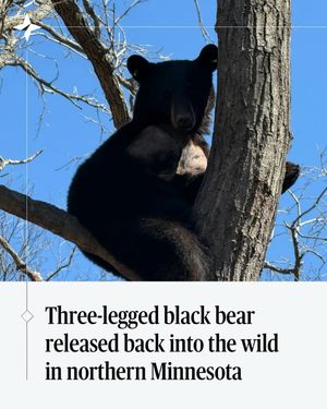 Image post by @startribune on Instagram