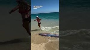 Video post by @accuweather on YouTube
