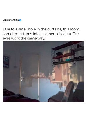 Image post by @gravitonomy on Instagram