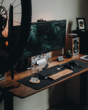Image post by @tielerfriedline on Instagram