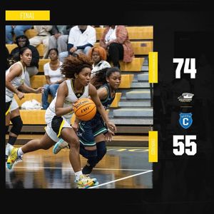 Image post by @gopetrelswbb on Instagram