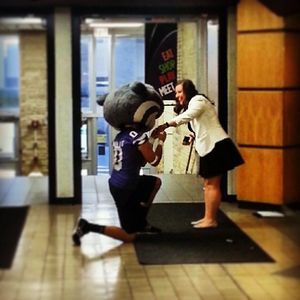 Image post by @kansasstateuniversity on Instagram