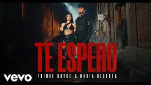 Video post by @princeroycevevo on YouTube
