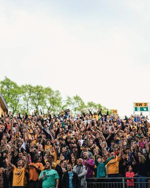 Image post by @wolves on Instagram