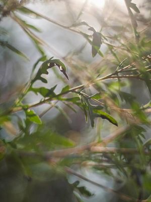 Image post by @nmmieses on Instagram