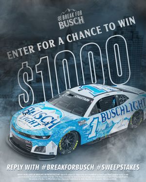 Image post by @BuschBeer on Twitter