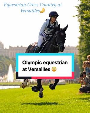 Video post by @nbcolympics on TikTok