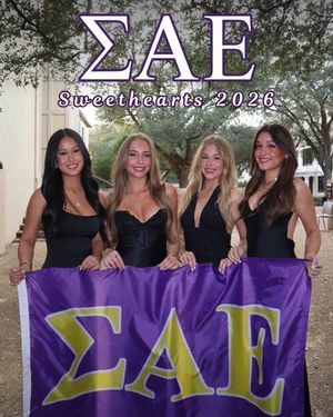Image post by @txstsae on Instagram