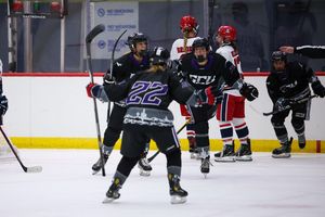 Image post by @lopeswhockey on Instagram