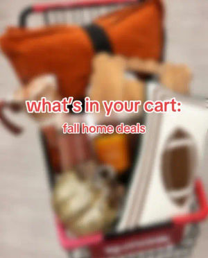 Image post by @tjmaxx on TikTok
