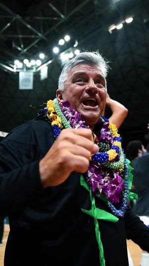 Video post by @hykchora on TikTok