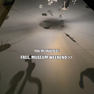 Video post by @bostonwithemily on TikTok