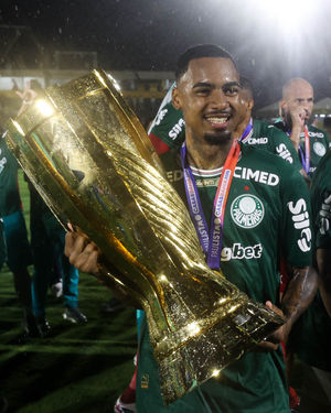 Image post by @palmeiras on Instagram