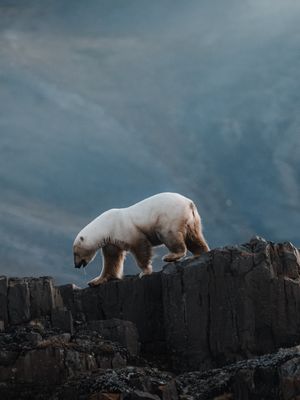 Image post by @sony.deutschland.at on Instagram
