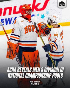 Image post by @hockeyhousepod on Instagram