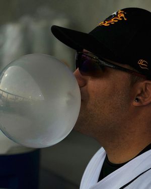 Image post by @gohoneyhunters on Instagram