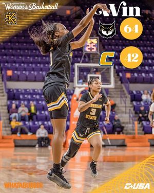 Image post by @ksuowlswbb on Instagram