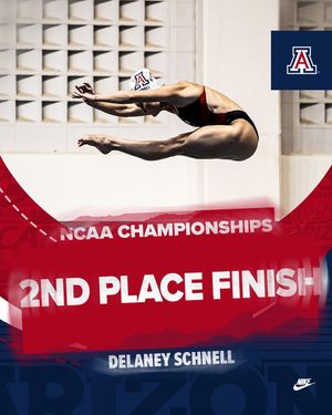 Image post by @arizonaswimdive on Instagram