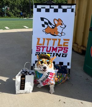 Image post by @littlestumpsracing on Instagram
