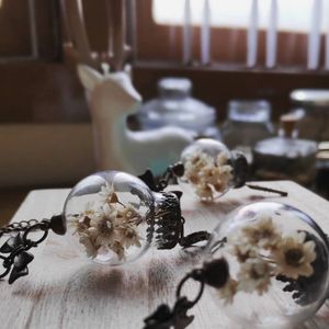Image post by @leafyaffair on Instagram