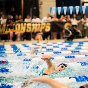 Image post by @harvardwswimdive on Instagram