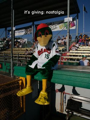 Video post by @madisonmallards on TikTok