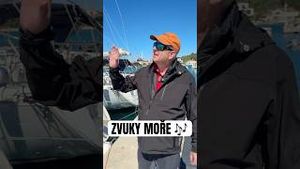 Video post by @jonasederfishing on YouTube