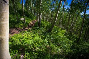 Image post by @skicrestedbutte on Instagram