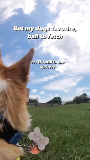 Video post by @aircorg on Instagram