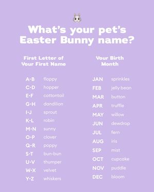 Image post by @petsmart on Instagram