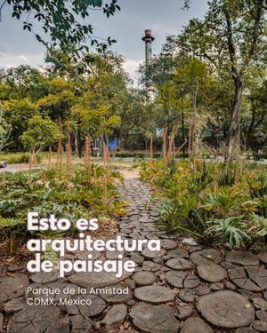 Image post by @fernandarionda on Instagram