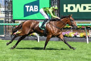 Image post by @flemingtonvrc on Instagram