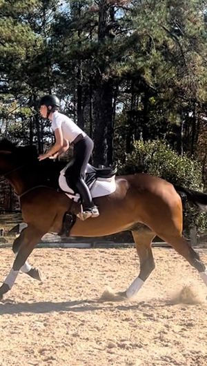 Video post by @clairecumbee on Instagram