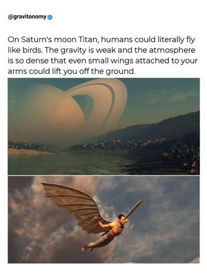 Image post by @gravitonomy on Instagram