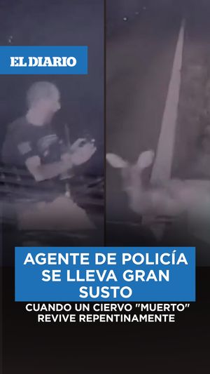 Image post by @eldiariony on Instagram