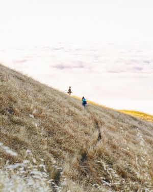 Image post by @zaksuhar on Instagram