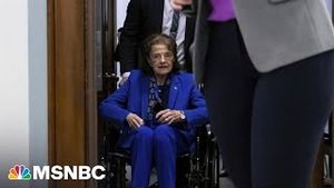 Video post by @msnbc on YouTube