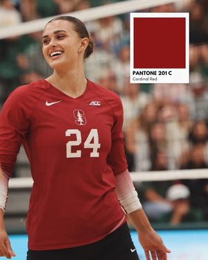 Image post by @ncaavolleyball on Instagram