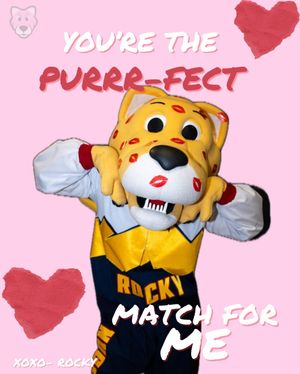 Image post by @thesupermascot on Instagram