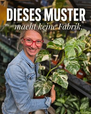 Image post by @oldenburgerwohngarten on Instagram