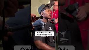 Video post by @cfbonfox on YouTube