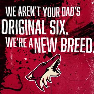 Image post by @arizonacoyotes on Instagram