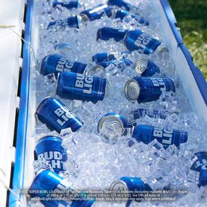 Image post by @budlight on Twitter