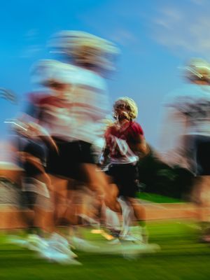 Image post by @elonfb on Instagram