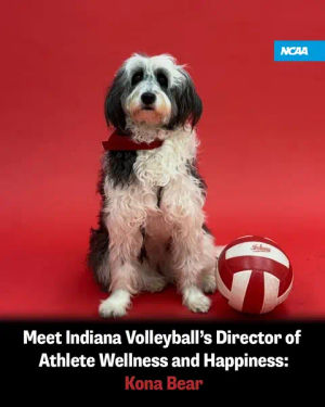 Image post by @ncaa on TikTok