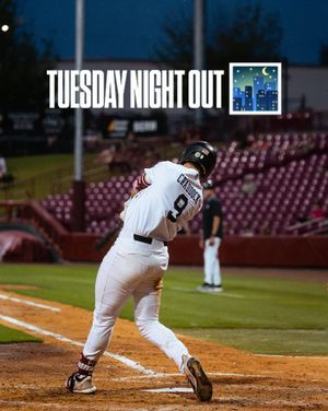 Image post by @gamecockbaseball on Instagram