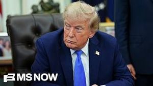 Video post by @msnbc on YouTube