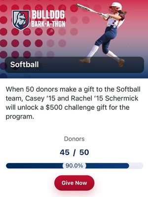Image post by @DeSalesUniversitySoftball on Facebook