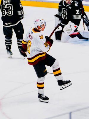 Image post by @chicagowolves on Instagram